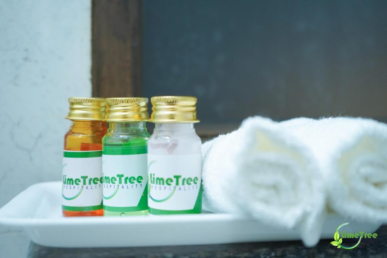 Lime Tree Hotel Near 32Nd Avenue Sector 29 Gurgaon Esterno foto